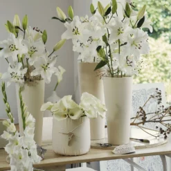 Collection Bulbes Pour Bouquets Modernes Blancs